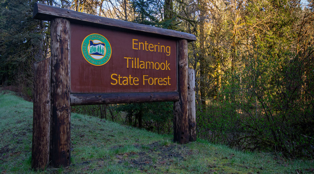 Support Oregon State Forests by Shopping with Beaver State Market