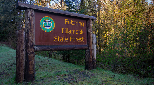 Support Oregon State Forests by Shopping with Beaver State Market